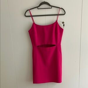 Wayf Pink Sheath Mini Dress with Cutout